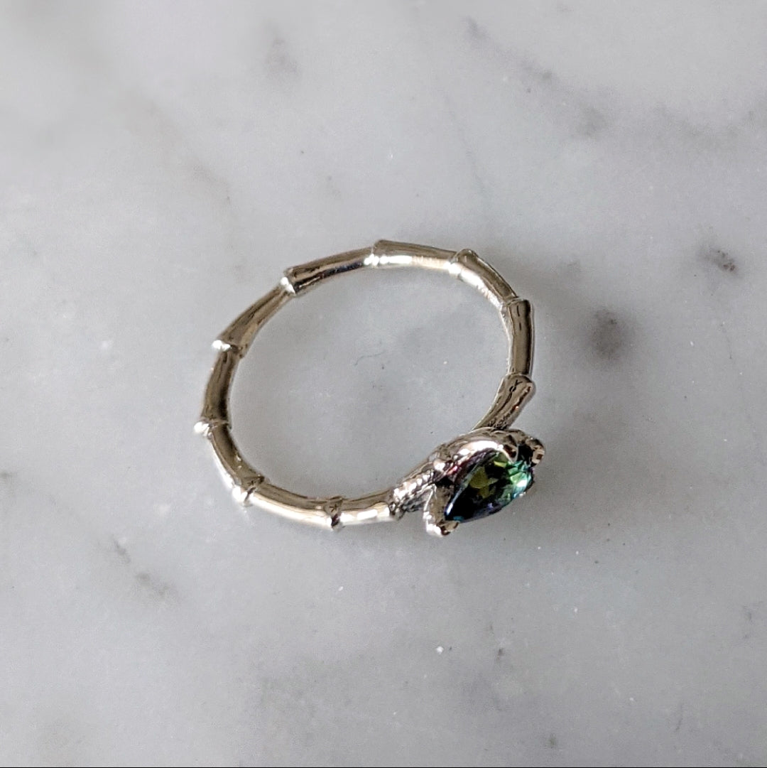 Mystic Raven Ring