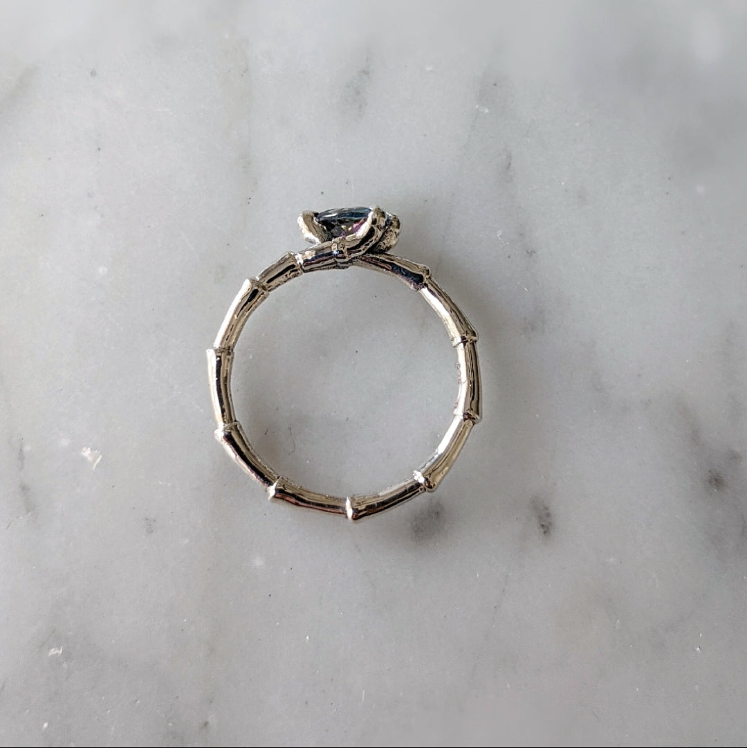 Mystic Raven Ring